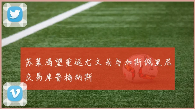 苏莱渴望重返尤文或与加斯佩里尼交易库普梅纳斯